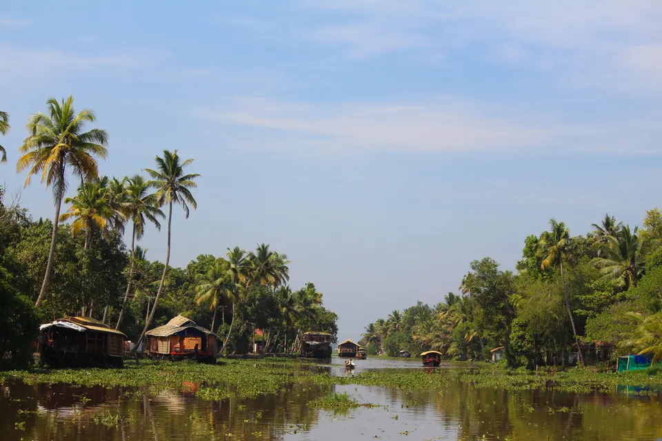 Peaceful view of Kerala backwaters with houseboats, palm trees under clear skies.