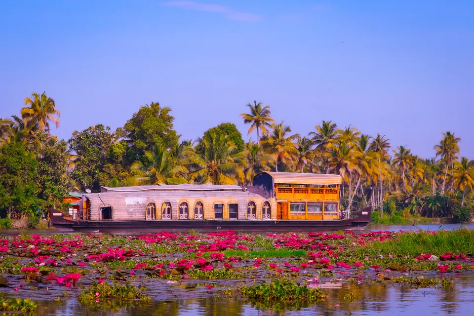 Scenic houseboat amidst vibrant pink lotus flowers on Kerala's tranquil backwaters, framed by lush palm trees.