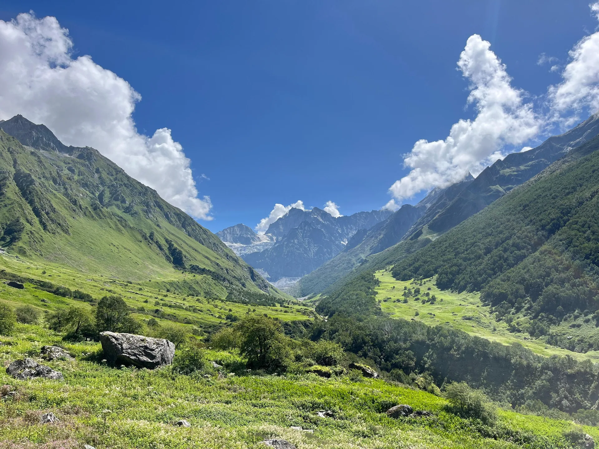 Explore the lush green landscape of Valley of Flowers in Uttarakhand, India.