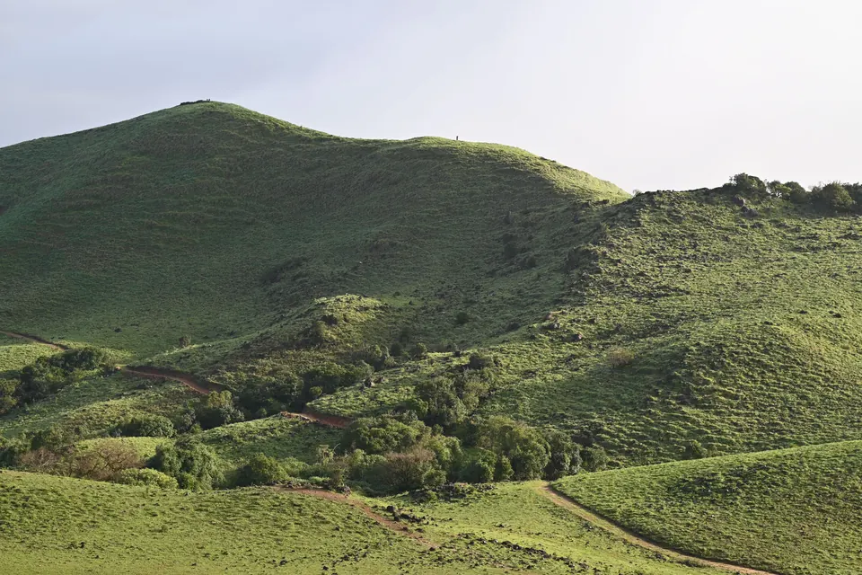Explore the verdant hills and scenic landscapes of Madikeri, Karnataka, offering breathtaking views of nature's beauty.