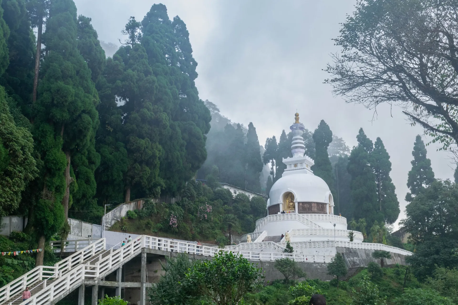 A serene view of the Peace Pagoda amid lush greenery in Darjeeling, India.