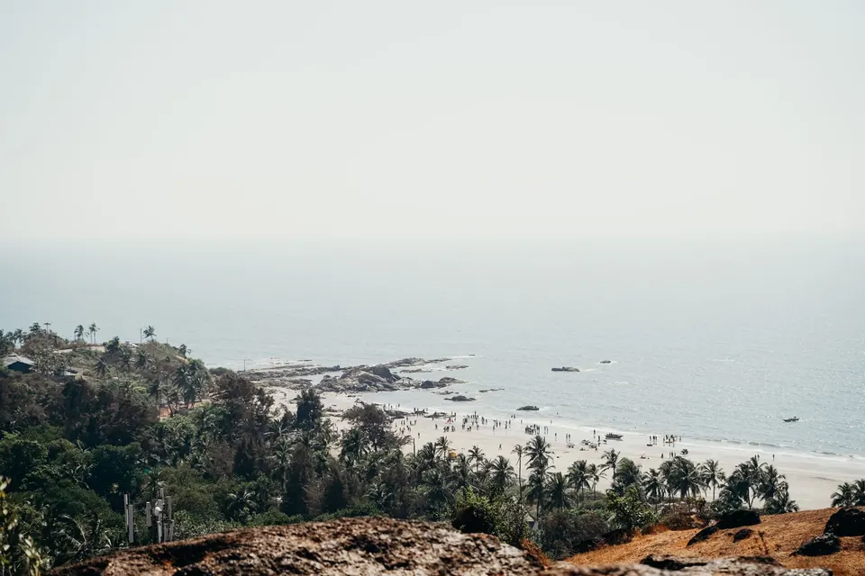 Breathtaking view of Goa's coastline with palm trees and a serene beach under the summer sun.