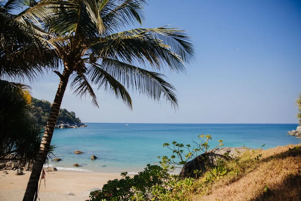Serene tropical beach view with palm trees and turquoise waters in Phuket, Thailand.