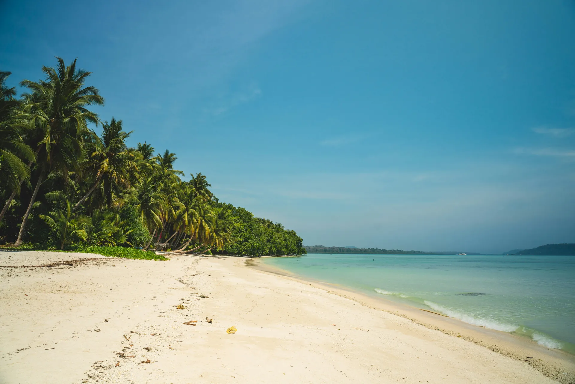 Green palm trees on white sand beach during daytime.