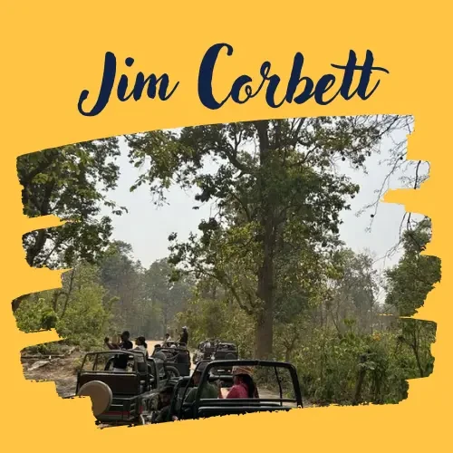 Moneypreet Kaur in Jim Corbett, a trip arranged by Yuven Travel